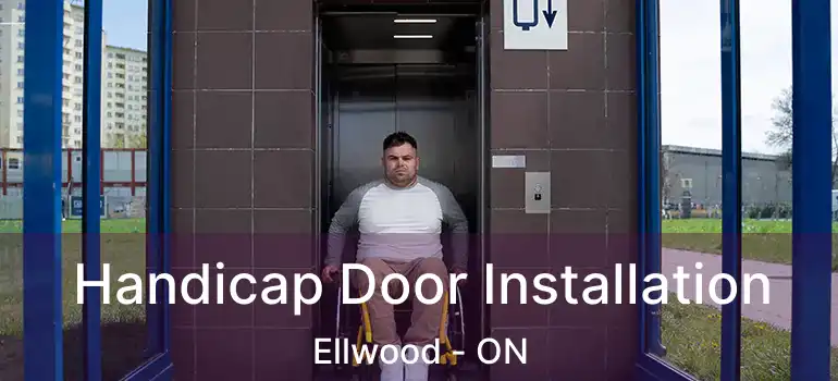  Handicap Door Installation Ellwood - ON