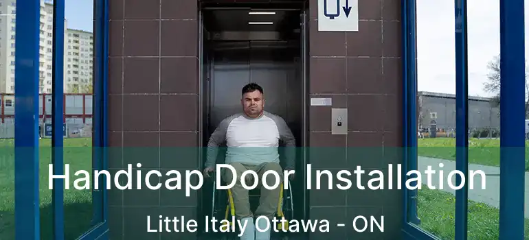  Handicap Door Installation Little Italy Ottawa - ON
