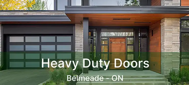  Heavy Duty Doors Belmeade - ON