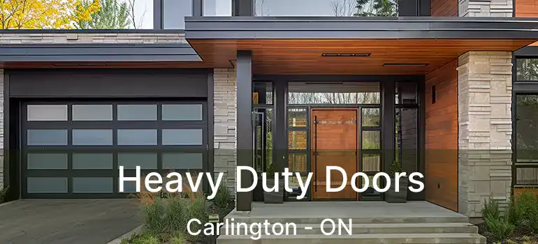  Heavy Duty Doors Carlington - ON