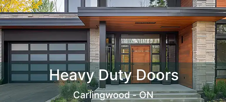  Heavy Duty Doors Carlingwood - ON