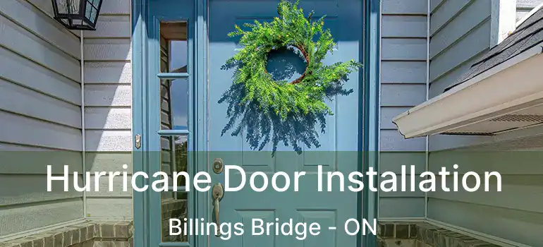 Hurricane Door Installation Billings Bridge - ON