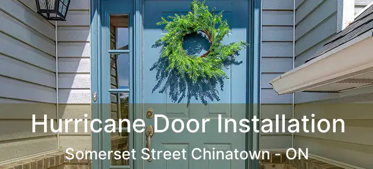 Hurricane Door Installation Somerset Street Chinatown - ON