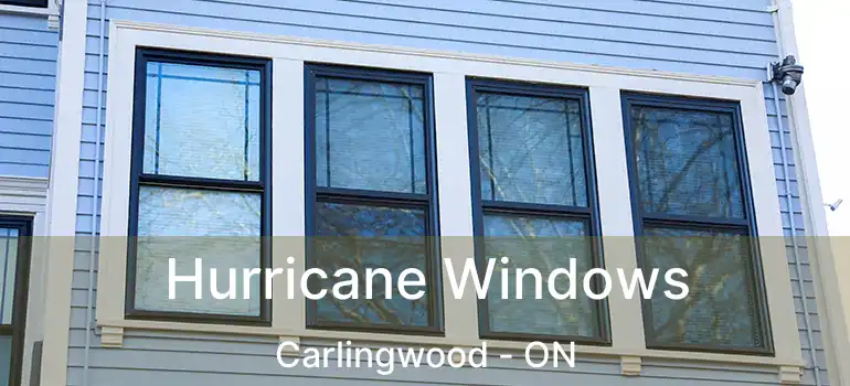 Hurricane Windows Carlingwood - ON