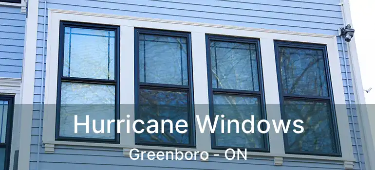 Hurricane Windows Greenboro - ON