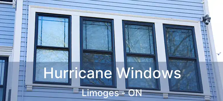 Hurricane Windows Limoges - ON