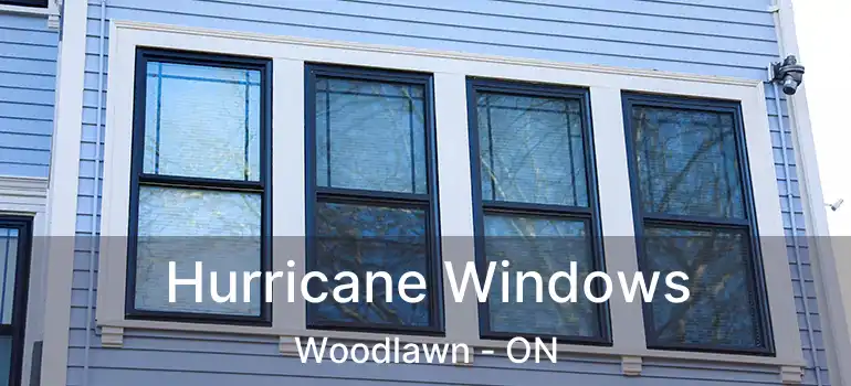  Hurricane Windows Woodlawn - ON