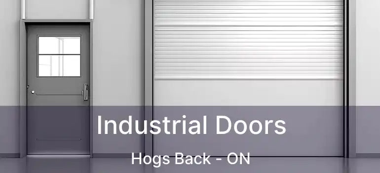 Industrial Doors Hogs Back - ON