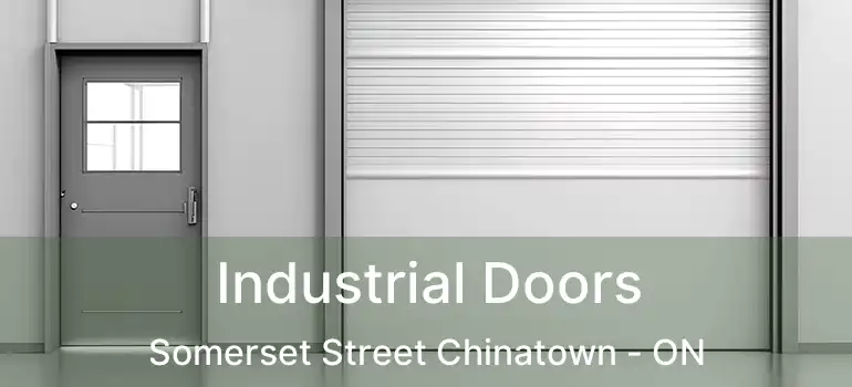  Industrial Doors Somerset Street Chinatown - ON