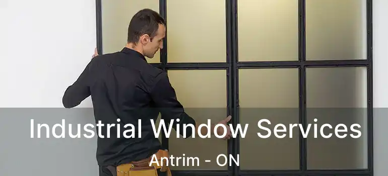 Industrial Window Services Antrim - ON