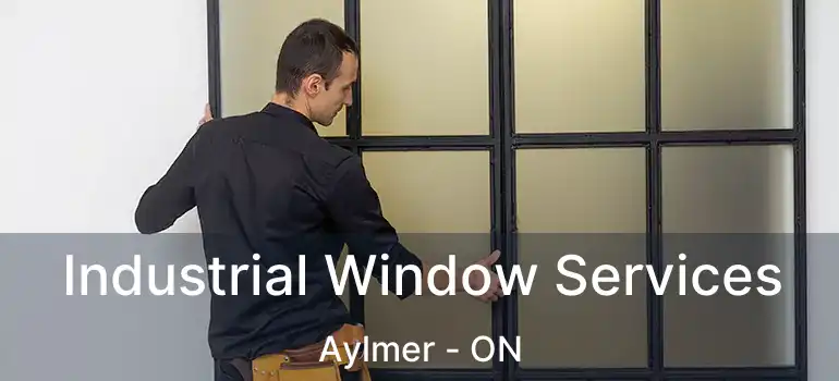 Industrial Window Services Aylmer - ON