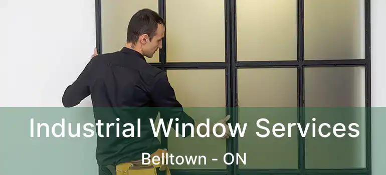Industrial Window Services Belltown - ON