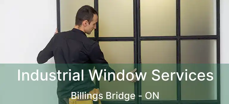  Industrial Window Services Billings Bridge - ON