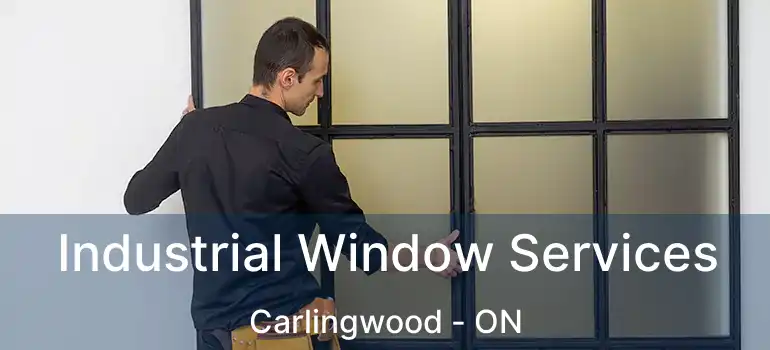 Industrial Window Services Carlingwood - ON