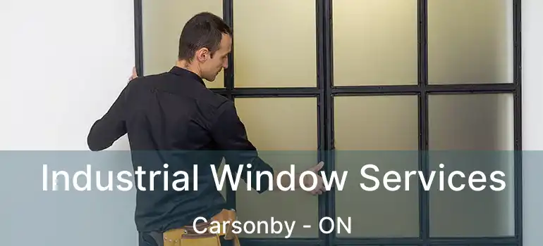 Industrial Window Services Carsonby - ON