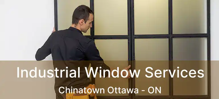  Industrial Window Services Chinatown Ottawa - ON