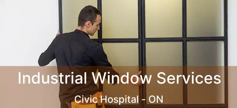 Industrial Window Services Civic Hospital - ON