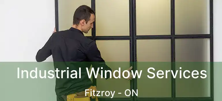 Industrial Window Services Fitzroy - ON