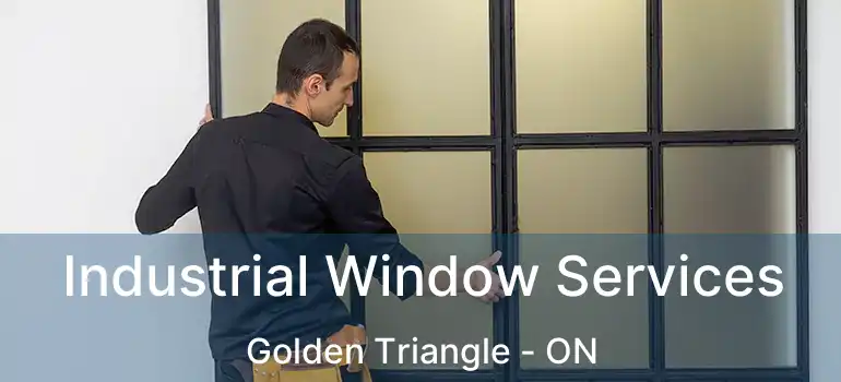 Industrial Window Services Golden Triangle - ON