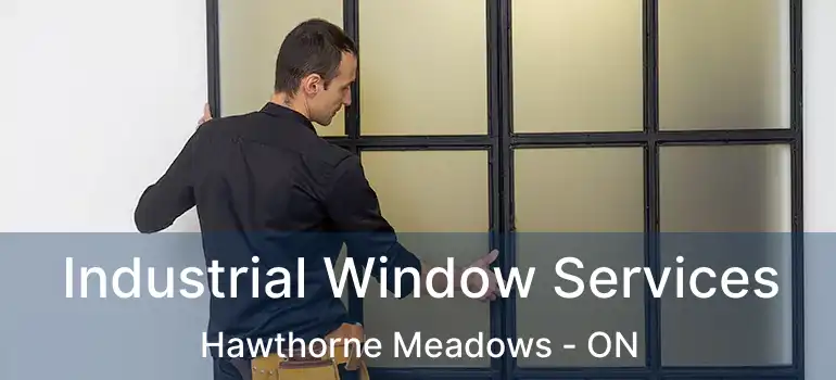 Industrial Window Services Hawthorne Meadows - ON