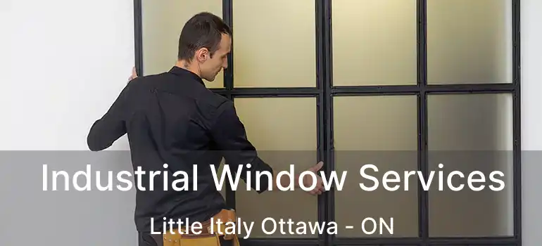 Industrial Window Services Little Italy Ottawa - ON