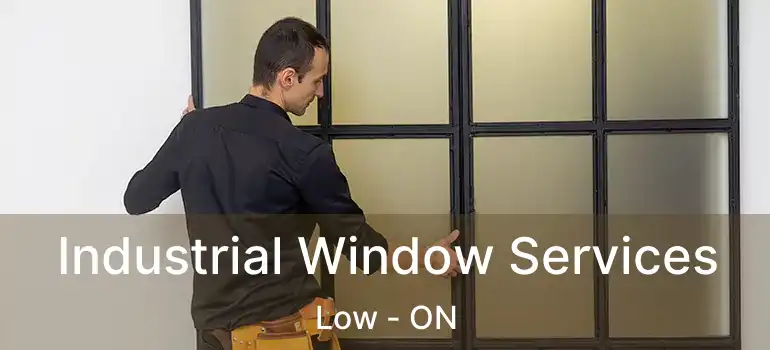 Industrial Window Services Low - ON