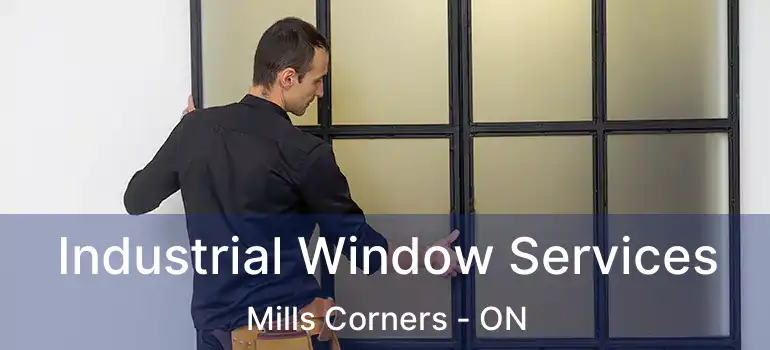  Industrial Window Services Mills Corners - ON