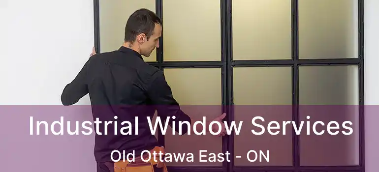 Industrial Window Services Old Ottawa East - ON