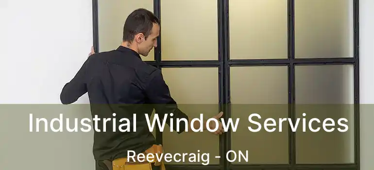 Industrial Window Services Reevecraig - ON