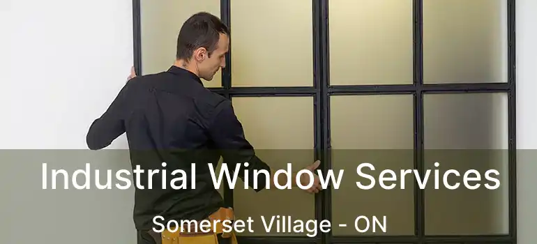 Industrial Window Services Somerset Village - ON