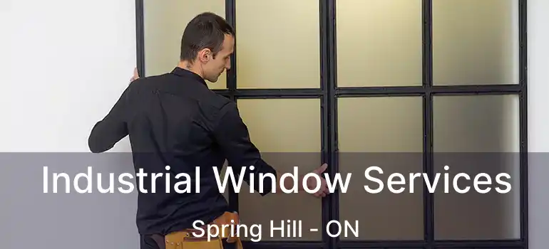 Industrial Window Services Spring Hill - ON