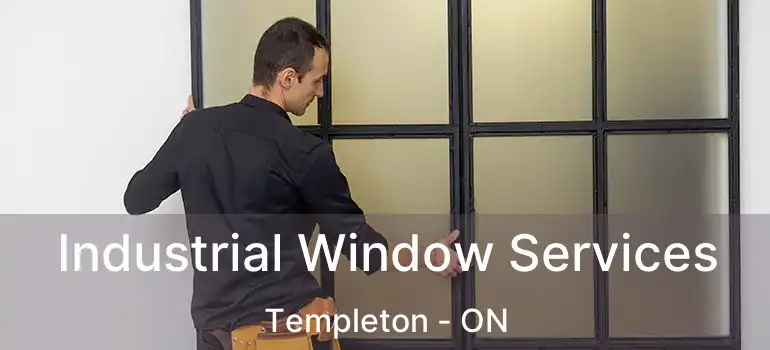  Industrial Window Services Templeton - ON
