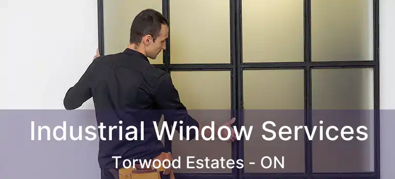 Industrial Window Services Torwood Estates - ON