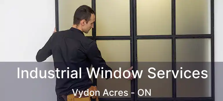 Industrial Window Services Vydon Acres - ON