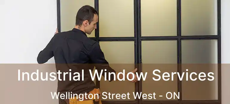 Industrial Window Services Wellington Street West - ON