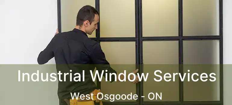 Industrial Window Services West Osgoode - ON