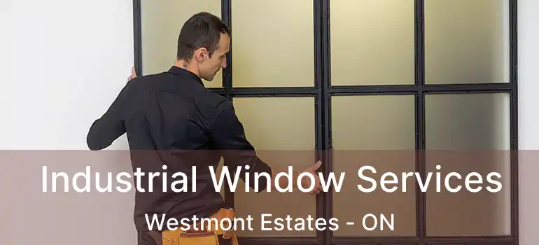 Industrial Window Services Westmont Estates - ON