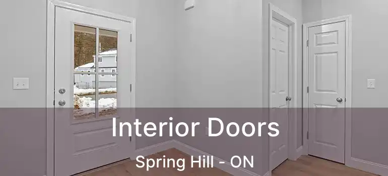  Interior Doors Spring Hill - ON