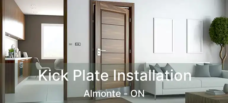 Kick Plate Installation Almonte - ON