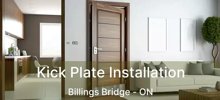 Kick Plate Installation Billings Bridge - ON