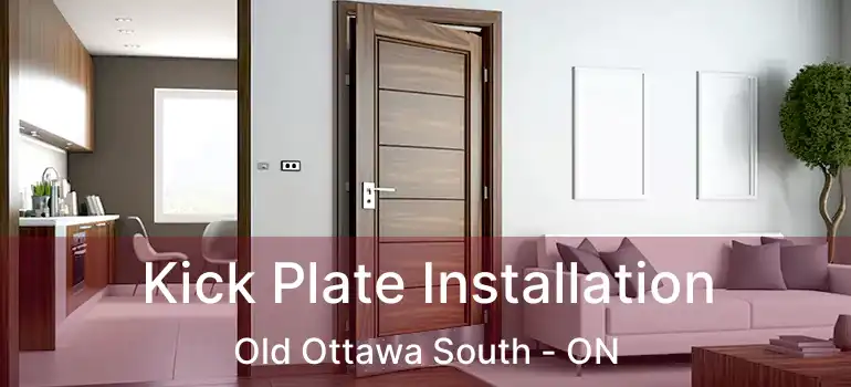 Kick Plate Installation Old Ottawa South - ON