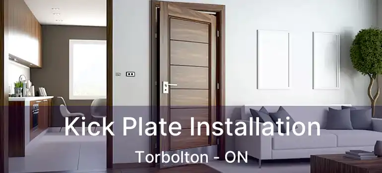 Kick Plate Installation Torbolton - ON
