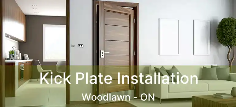  Kick Plate Installation Woodlawn - ON