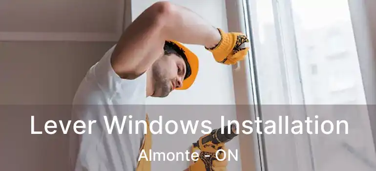 Lever Windows Installation Almonte - ON