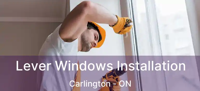 Lever Windows Installation Carlington - ON