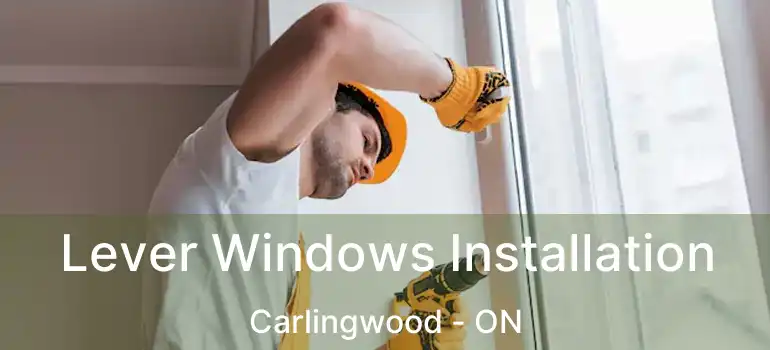 Lever Windows Installation Carlingwood - ON