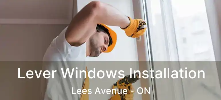 Lever Windows Installation Lees Avenue - ON