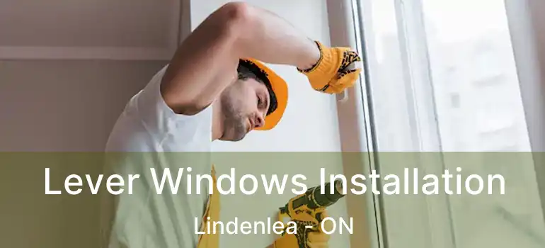 Lever Windows Installation Lindenlea - ON