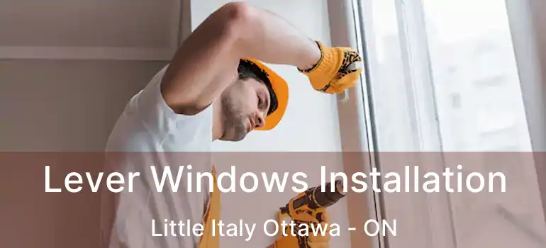 Lever Windows Installation Little Italy Ottawa - ON