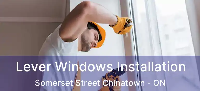  Lever Windows Installation Somerset Street Chinatown - ON